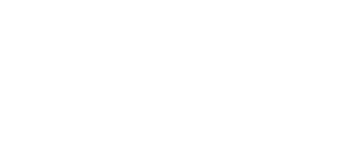 Wall of Entertainment Store